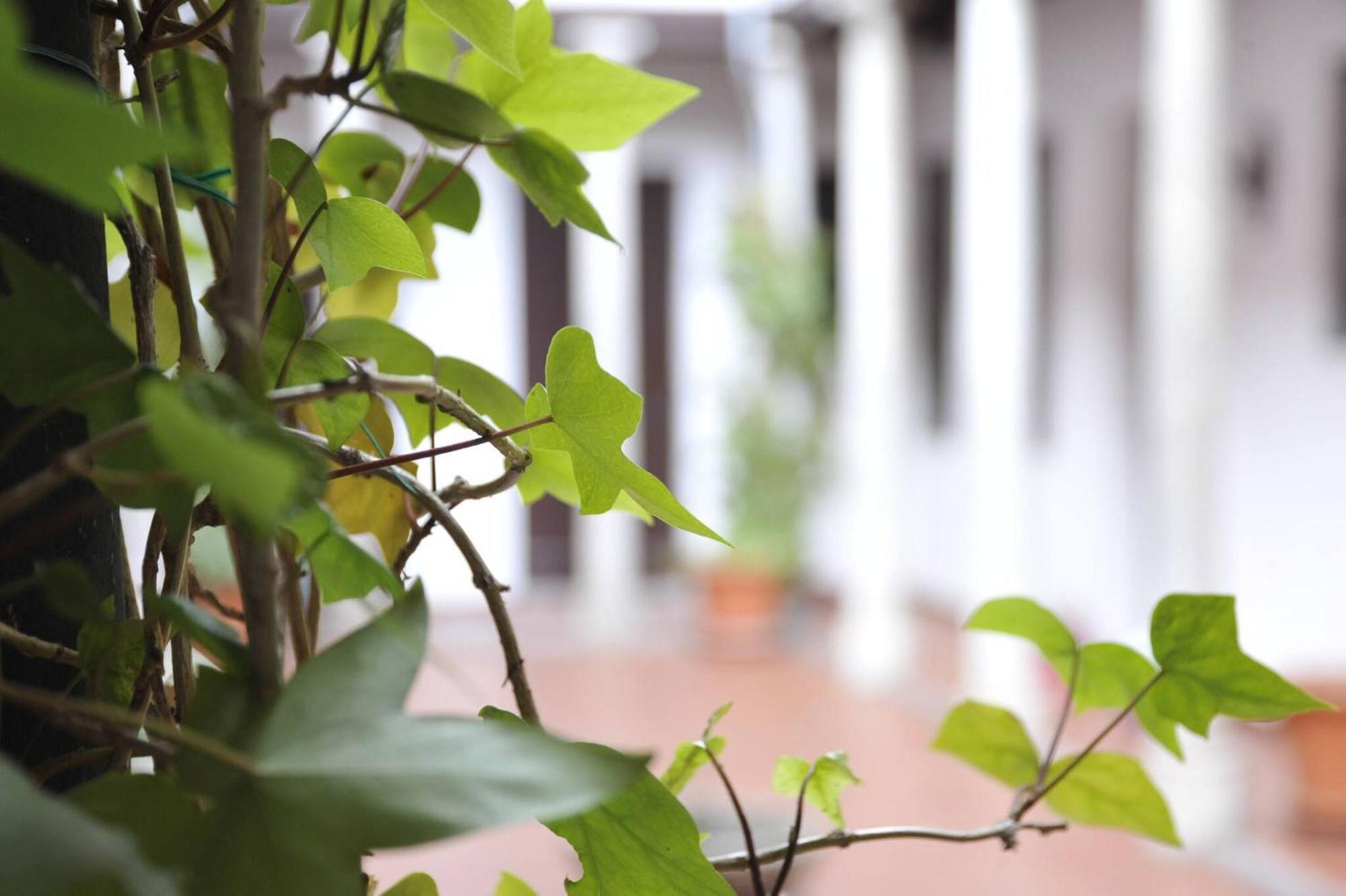 Adanar-las Columnas Appartement